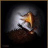 StoneEagle